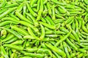 সুস্থ্য রাখবে মরিচ