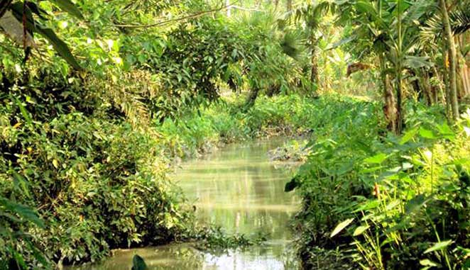 রাজাপুরের পোনা নদী এখন মরা খাল, খনন জরুরি