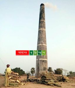 বনাঞ্চল উজাড় করে বামনার ইটভাটায় পুড়ছে কাঠ