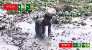 মাছের সন্ধান