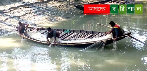 খালে মাছ শিকার