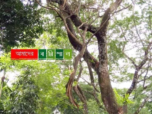 ঝুঁকিপূর্ণ