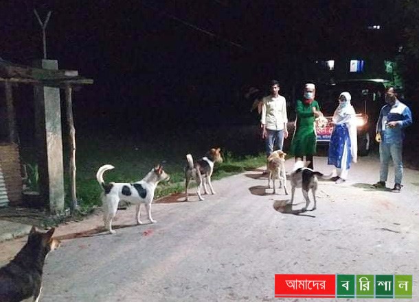কাউখালীতে রাতের আঁধারে কুকুরকে খাবার দিলেন ইউএনও