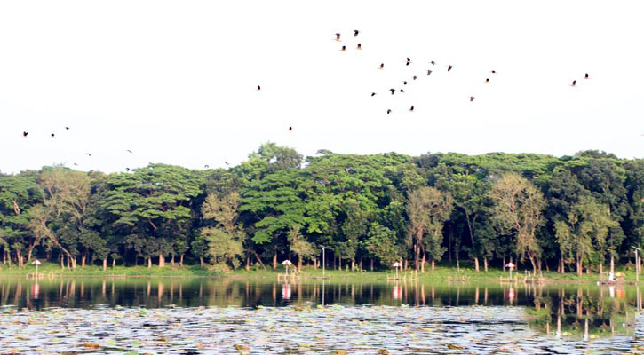 দুর্গাসাগর অতিথি পাখির কলকাকলিতে মুখরিত