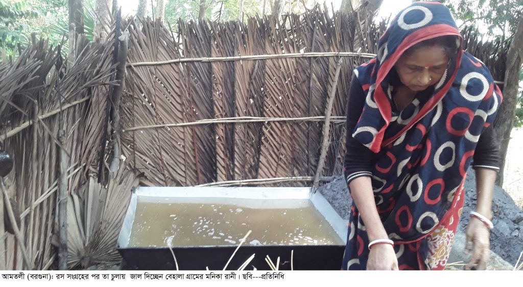 তালতলীর সুস্বাদু গোলের গুর চাষ করে লাভবান হচ্ছে কৃষকরা যাচ্ছে প্রতিবেশী ভারতেও