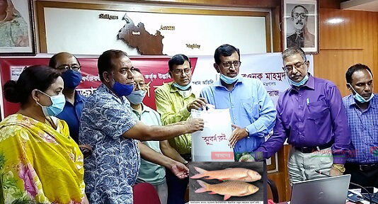 মৎস্য গবেষণা ইনস্টিটিউটের চতুর্থ প্রজন্মের ‘সুবর্ণ রুই’ উদ্ভাবন