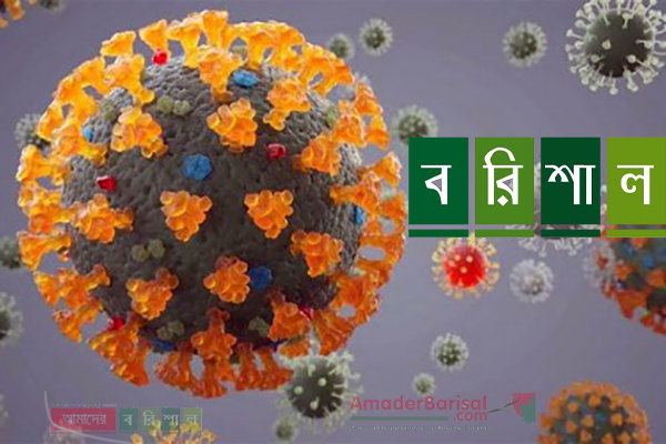 বরিশালে একদিনে শনাক্ত ৭৬৬, উপসর্গসহ মৃত্যু ১৫