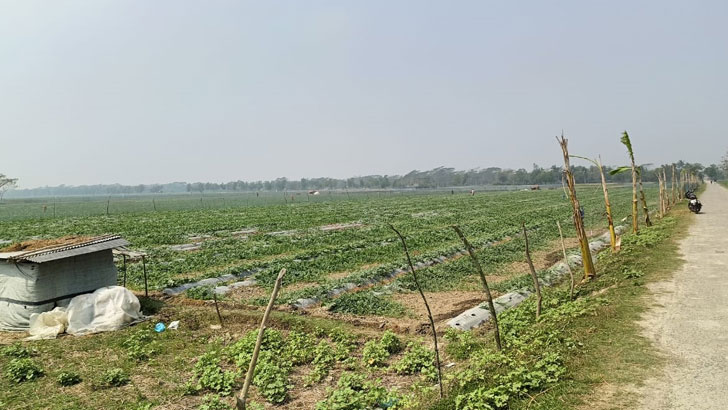 তরমুজ খেতে পানি সেচ নিয়ে শঙ্কায় চাষিরা