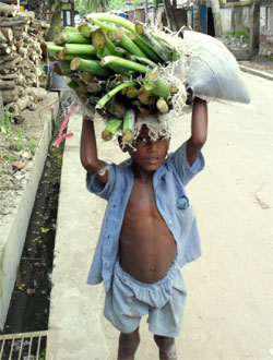 শ্রমজীবী শিশু