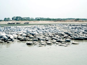 জিও টেক্সটাইল