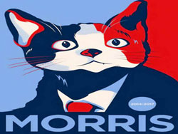 mayor-moris-mexico মেয়রপ্রার্থী মরিস