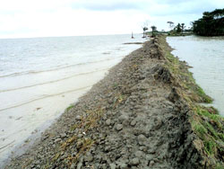 nodi-vangon লালমোহনে নদীভাঙন