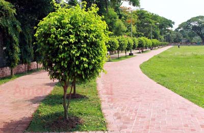 barisal-bels-park-bangabandhu-uddan-walkway বরিশাল বেলস পার্ক বঙ্গবন্ধু উদ্যান ওয়াকওয়ে হাটার জায়গা