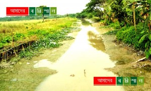 দখল-নাব্যতা সঙ্কটে মরে যাচ্ছে জীবনানন্দর ধানসিঁড়ি