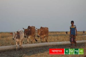 আবহমান গ্রাম বাংলা