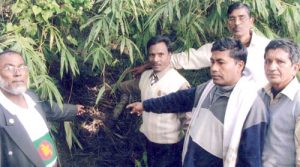 চিহ্নিত হয়নি বরিশাল-ঝালকাঠি-পিরোজপুরের ৭০ ভাগ বধ্যভূমি