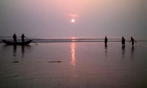সাগর-বনের হাতছানি দক্ষিণের আকর্ষণ হরিণঘাটা বনে 