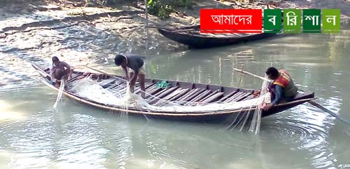 খালে মাছ শিকার