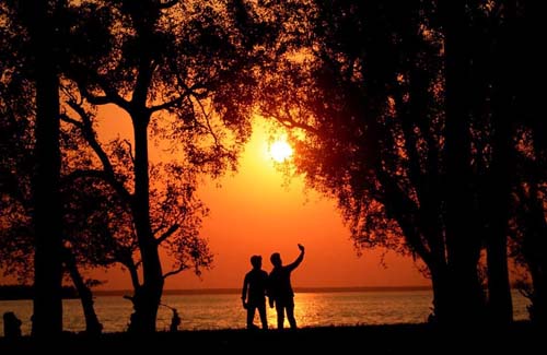 বরগুনার বিহঙ্গ দ্বীপ