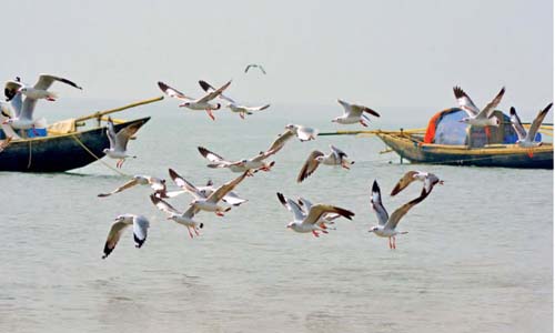 দক্ষিণের অারেক সৌন্দর্যের লীলা সোনালী সৈকত সোনার চর