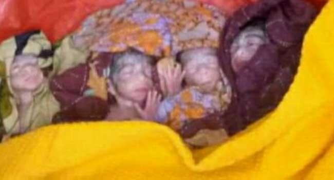 লালমোহনে এক সাথে ৪ সন্তান জন্ম দিলেন গৃহবধূ