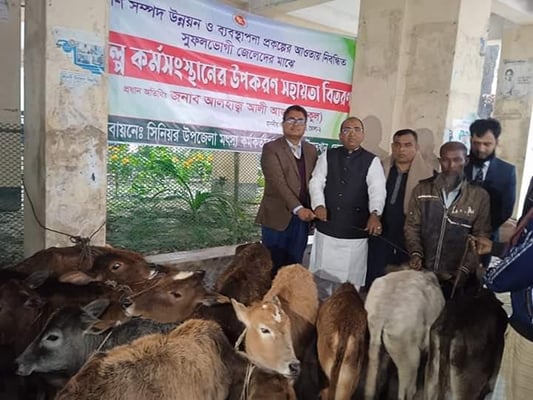 ভোলার দৌলতখানে জেলেদের মাঝে বকনা বাছুর বিতরণ