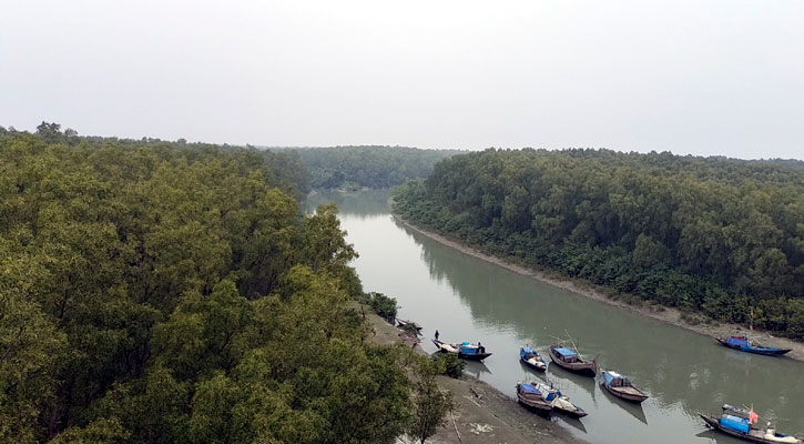 দেশের ২য় সুন্দরবনে পরিণত হচ্ছে কুকরি-মুকরি