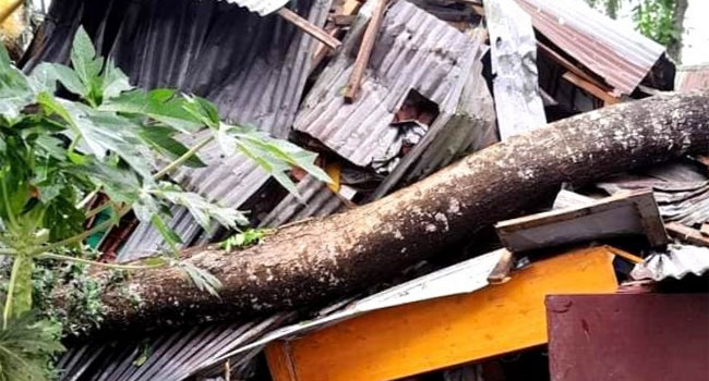 ভোলার লালমোহনে কালবৈশাখী ঝড়ে  ঘরবাড়ি বিধ্বস্ত, নিহত ২
