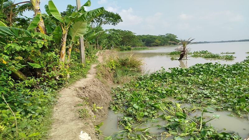 পায়রা নদীর ভাঙনে বিলীন গ্রাম রক্ষার বাঁধ, ঝুঁকিপূর্ণ বাকি অংশও পায়রা নদীর ভাঙনে বিলীন গ্রাম রক্ষার বাঁধ, ঝুঁকিপূর্ণ বাকি অংশও