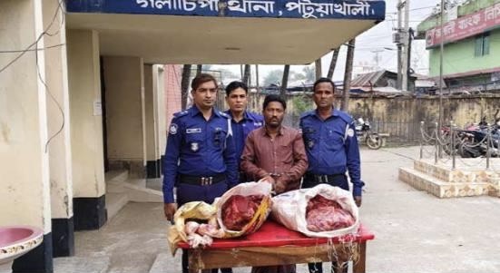 গলাচিপায় চোরাই গরুর মাংসসহ গ্রেফতার-১ গলাচিপায় চোরাই গরুর মাংসসহ গ্রেফতার-১