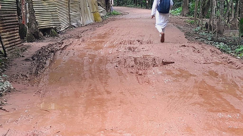 রাজাপুরে বাদুরতলা সড়কের বেহাল দশা, চরম দুর্ভোগে এলাকাবাসী