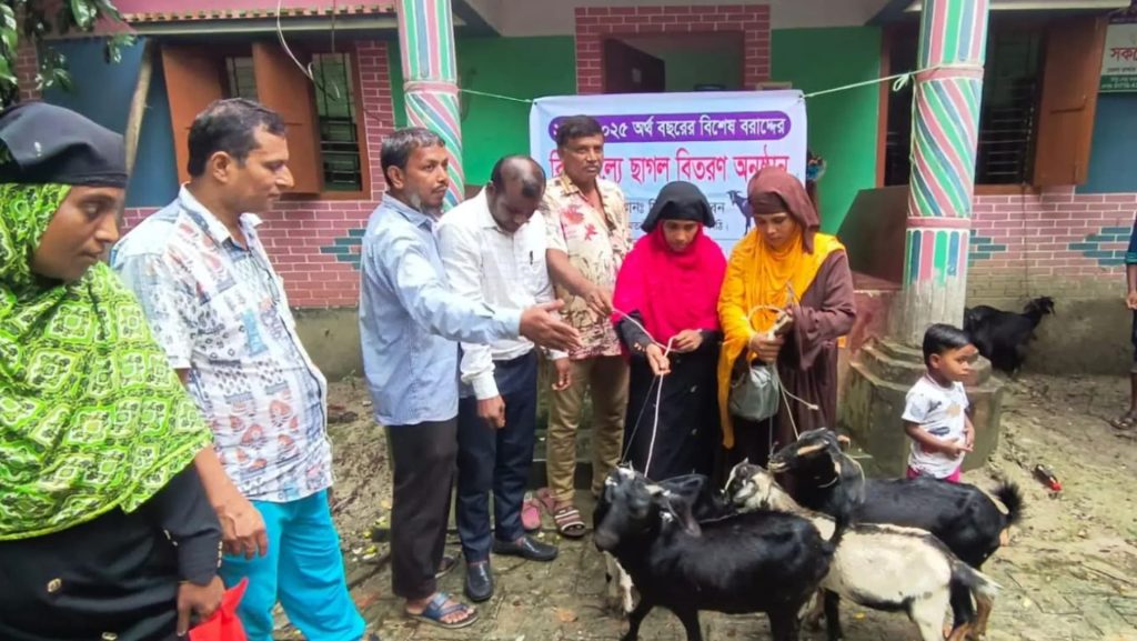 নলছিটিতে অসহায় নারীদের মাঝে ছাগল বিতরণ