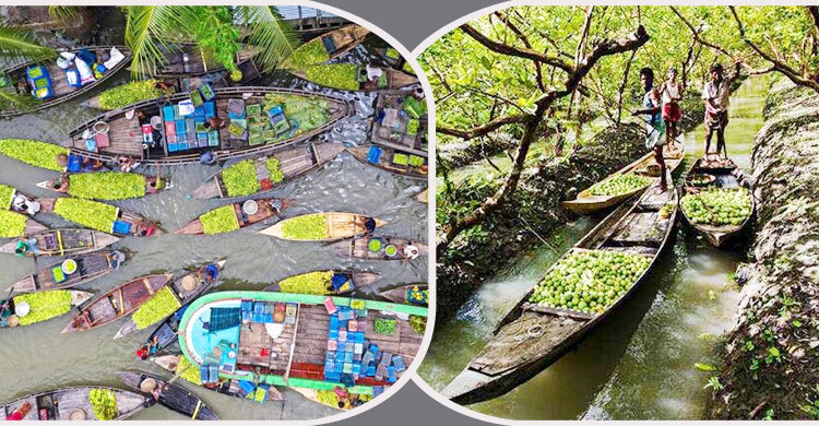 আটঘর-কুড়িয়ানার পেয়ারার বাগানের পরিবেশ রক্ষায় ৬ নির্দেশনা