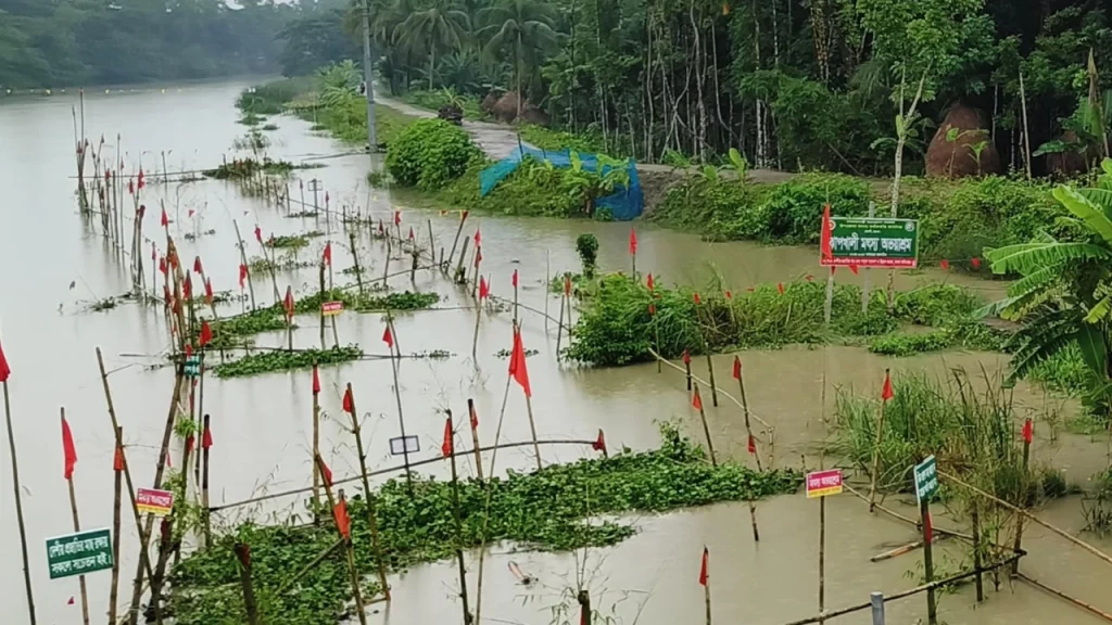 বেতাগীতে মা মাছ রক্ষায় অভয়াশ্রম, বেড়েছে দেশীয় মাছ 