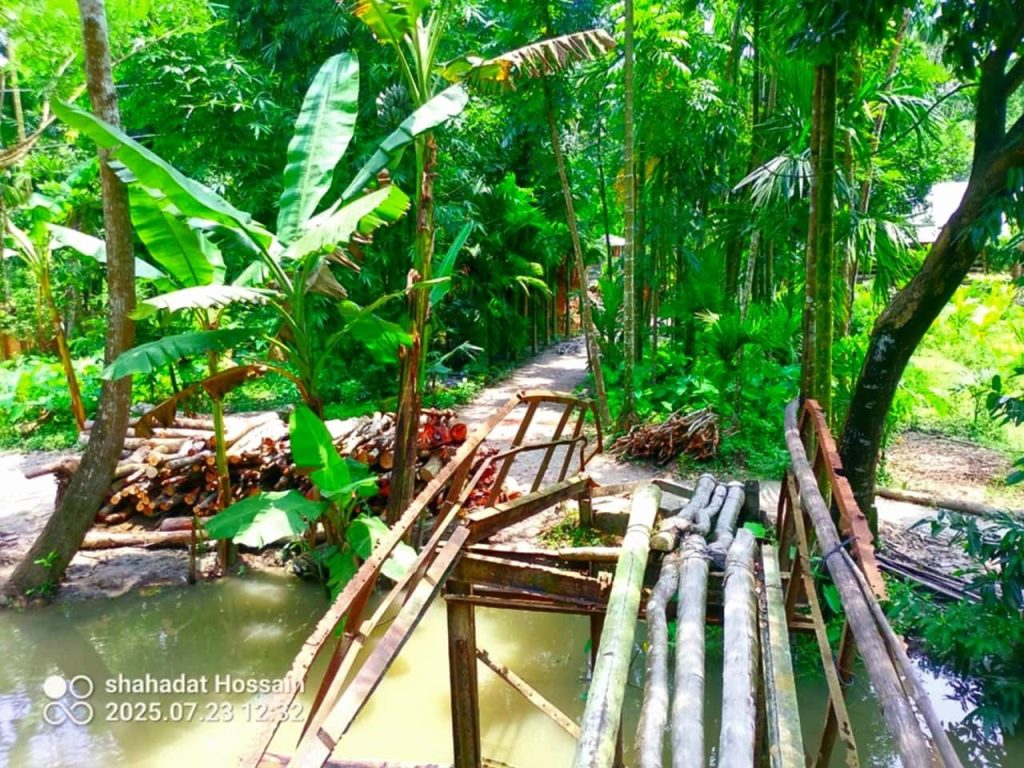 রাজাপুরে ব্রিজের বেহাল দশা, চরম দুর্ভোগে এলাকাবাসী