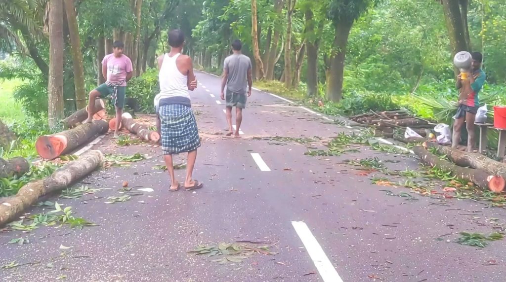 আদালতের নিষেধাজ্ঞা উপেক্ষা করে সরকারি গাছ কর্তন