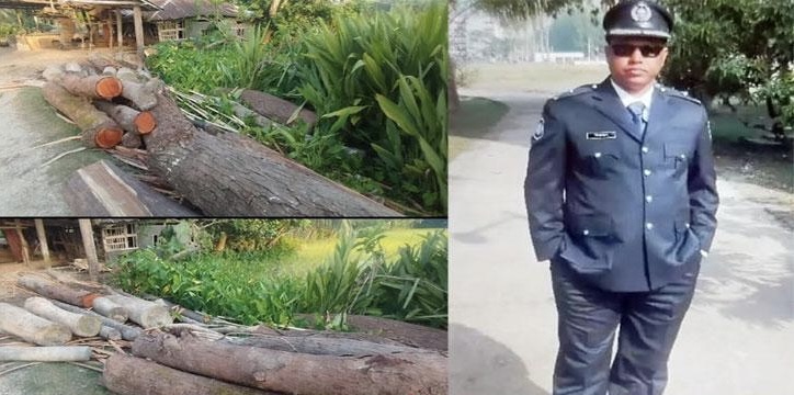 নেছারাবাদে পুলিশ কর্মকর্তার বিরুদ্ধে সরকারি গাছ আ*ত্ম*সা*তের অভিযোগ