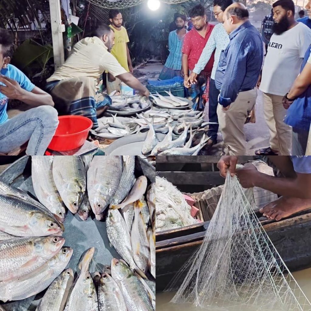 ইলিশের আকাল, ঋণের বোঝা নিয়ে হতাশায় পিরোজপুরের জেলেরা ইলিশের আকাল, ঋণের বোঝা নিয়ে হতাশায় পিরোজপুরের জেলেরা