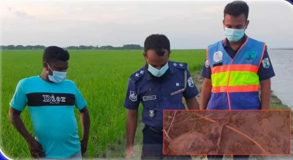 বাউফলে ধানক্ষেত থেকে হাত-পা ও মাথাবিহীন মরদেহ উদ্ধার
