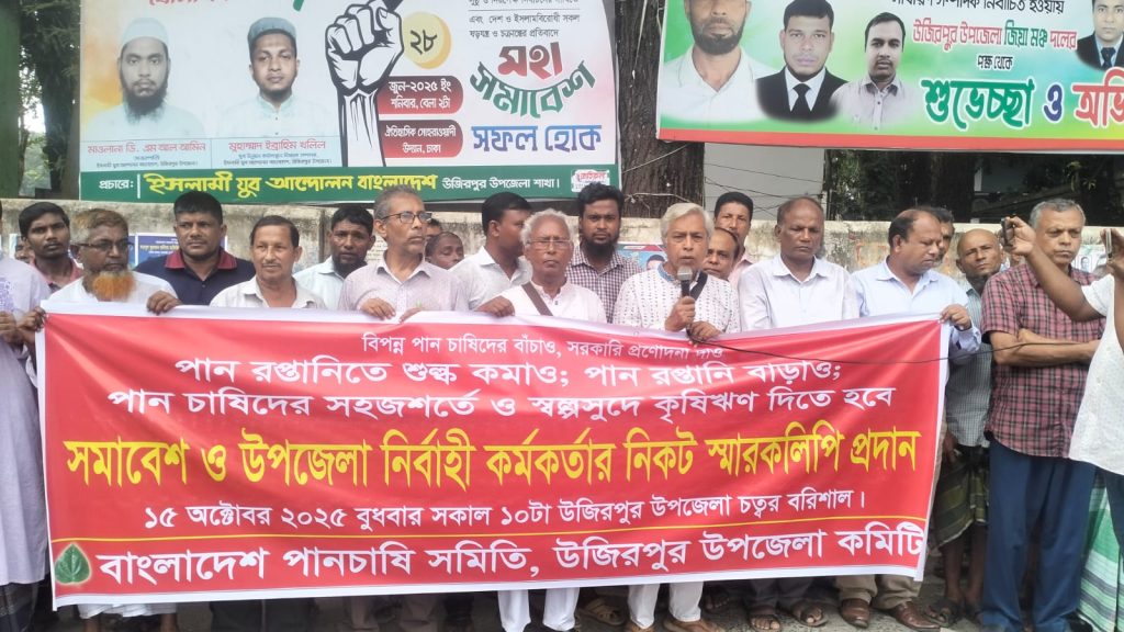 উজিরপুরে পান চাষিদের ১১ দফা দাবিতে মানববন্ধনস্মারকলিপি ইউএনওর কাছে হস্তান্তর