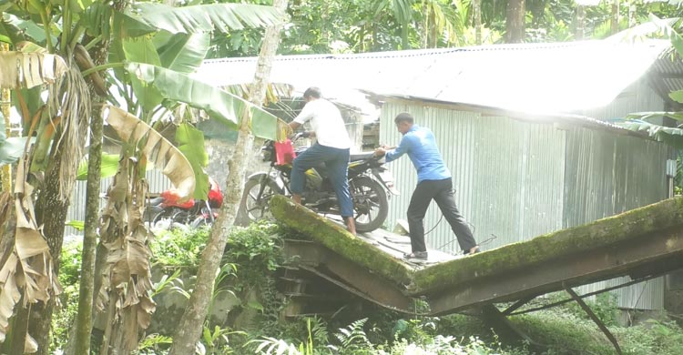 লালমোহনে ব্রিজ ভেঙে দুর্ভোগে ১০ হাজার মানুষ
