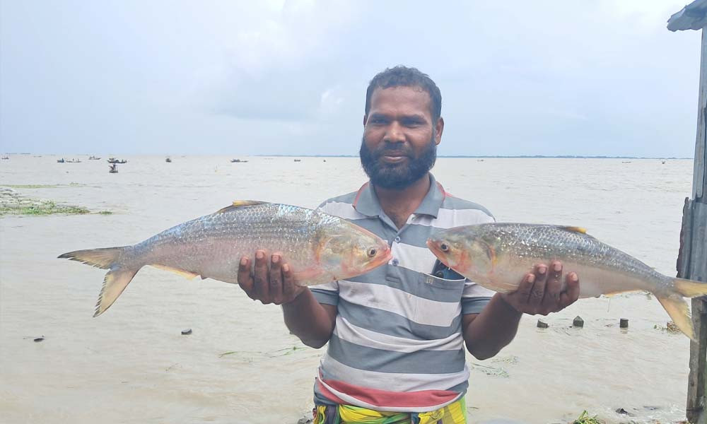 মেঘনায় মিলল দুই রাজা ইলিশ, বিক্রি সাড়ে ১০ হাজারে