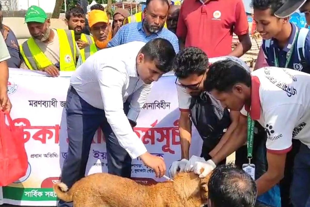 কলাপাড়ায় ৫ শতাধিক কুকুর-বিড়ালকে জলাতঙ্কের টিকা প্রদান কলাপাড়ায় ৫ শতাধিক কুকুর-বিড়ালকে জলাতঙ্কের টিকা প্রদান