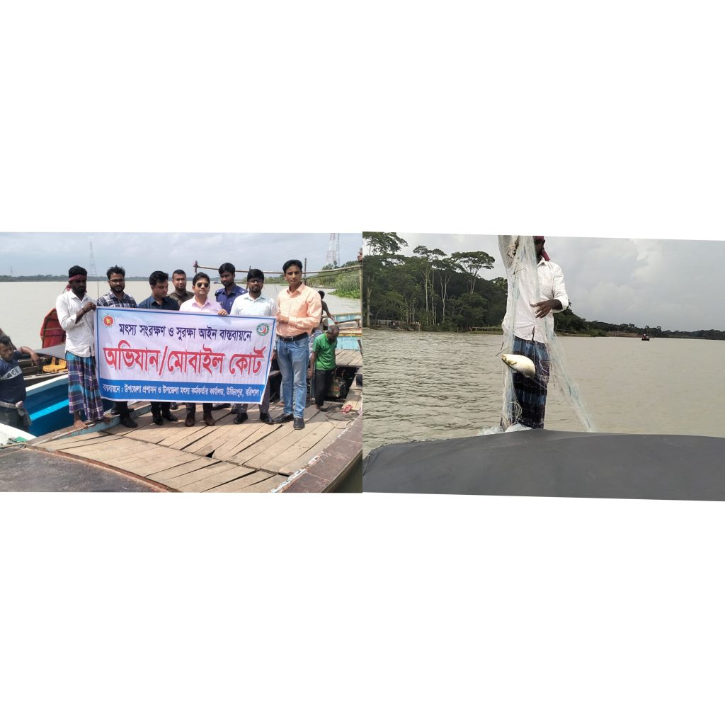 উজিরপুরে মা ইলিশ রক্ষায় অভিযান: প্রথম দিনেই হাজার মিটার কারেন্ট জাল উদ্ধার, জীবিত ইলিশ নদীতে অবমুক্ত