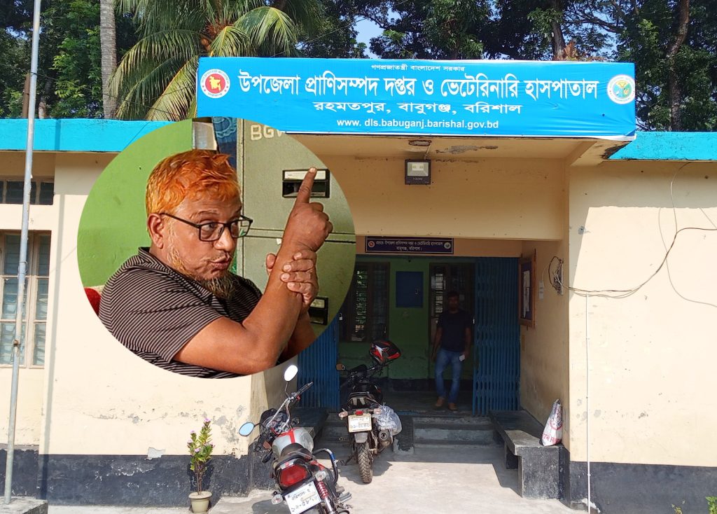 বাবুগঞ্জে ভুল চিকিৎসায় গাভী মৃত্যুর অভিযোগ