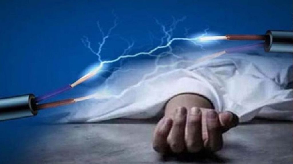 ইঁদুর তাড়াতে ক্ষেতে বৈদ্যুতিক তার, নিজের পাতা ফাঁদেই প্রাণ গেল কৃষকের