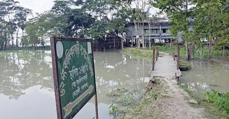 বিষখালী নদীতে ভাঙন: ‘মনে হয় সকালে এসে দেখবো বিদ্যালয়টি আর নেই’