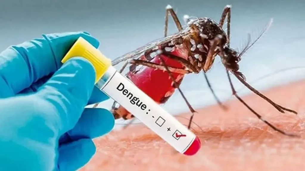 বাড়ছে ডেঙ্গুর চোখ রাঙানি, বরিশালে আরও ২ জনের মৃত্যু