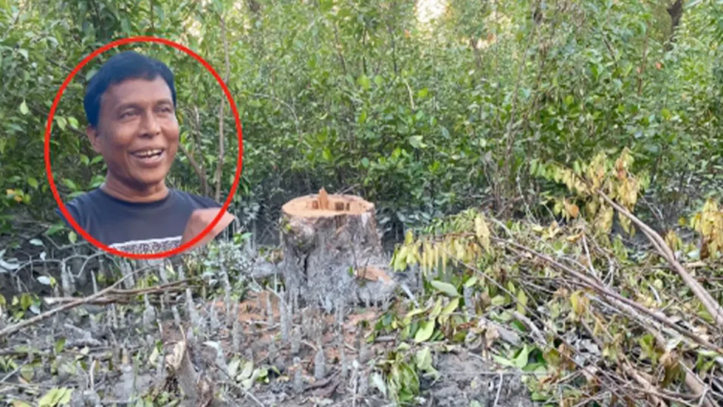 তালতলীতে সংরক্ষিত বনের গাছ বিক্রির অভিযোগ বিট কর্মকর্তার বিরুদ্ধে তালতলীতে সংরক্ষিত বনের গাছ বিক্রির অভিযোগ বিট কর্মকর্তার বিরুদ্ধে