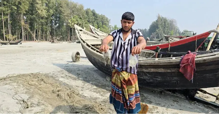 কুয়াকাটা সৈকতে ভেসে আসছে হাজার মৃত জেলিফিশ, মাছ ধরা বন্ধ